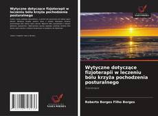 Portada del libro de Wytyczne dotyczące fizjoterapii w leczeniu bólu krzyża pochodzenia posturalnego