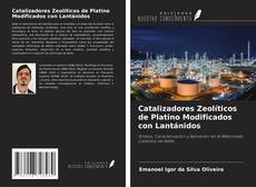 Capa do livro de Catalizadores Zeolíticos de Platino Modificados con Lantánidos 