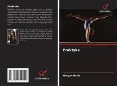 Обложка Praktyka
