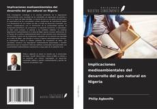 Capa do livro de Implicaciones medioambientales del desarrollo del gas natural en Nigeria 