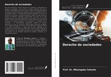 Buchcover von Derecho de sociedades