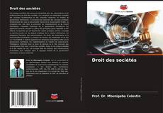 Buchcover von Droit des sociétés
