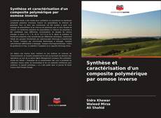 Copertina di Synthèse et caractérisation d'un composite polymérique par osmose inverse