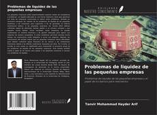 Couverture de Problemas de liquidez de las pequeñas empresas