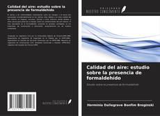 Calidad del aire: estudio sobre la presencia de formaldehído的封面