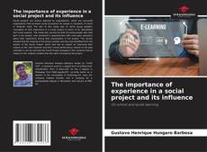 Buchcover von The importance of experience in a social project and its influence