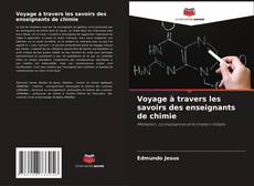 Copertina di Voyage à travers les savoirs des enseignants de chimie
