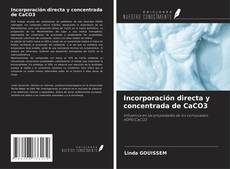 Capa do livro de Incorporación directa y concentrada de CaCO3 