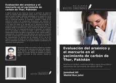 Capa do livro de Evaluación del arsénico y el mercurio en el yacimiento de carbón de Thar, Pakistán 