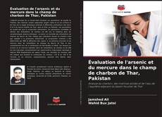 Évaluation de l'arsenic et du mercure dans le champ de charbon de Thar, Pakistan的封面