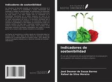 Capa do livro de Indicadores de sostenibilidad 