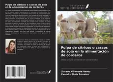 Capa do livro de Pulpa de cítricos o cascos de soja en la alimentación de corderos 