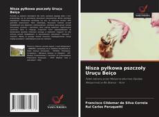 Buchcover von Nisza pyłkowa pszczoły Uruçu Beiço