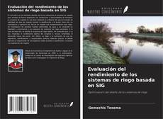 Capa do livro de Evaluación del rendimiento de los sistemas de riego basada en SIG 