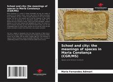 Copertina di School and city: the meanings of spaces in Maria Constança (CGR/MS)