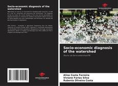 Buchcover von Socio-economic diagnosis of the watershed