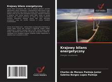 Krajowy bilans energetyczny kitap kapağı