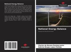 Buchcover von National Energy Balance
