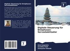 Обложка Digitale Steuerung für Dreiphasen-Servostabilisator