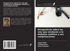 Capa do livro de Perspectivas sobre las vías que conducen a la diabetes mellitus y sus complicaciones 