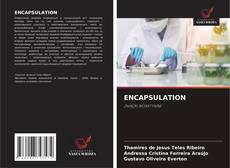 Обложка ENCAPSULATION