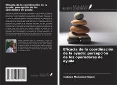 Capa do livro de Eficacia de la coordinación de la ayuda: percepción de los operadores de ayuda 