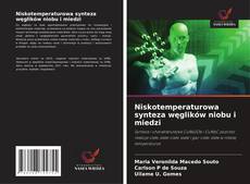 Niskotemperaturowa synteza węglików niobu i miedzi kitap kapağı