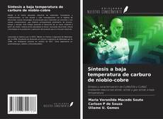 Portada del libro de Síntesis a baja temperatura de carburo de niobio-cobre