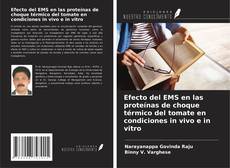 Capa do livro de Efecto del EMS en las proteínas de choque térmico del tomate en condiciones in vivo e in vitro 