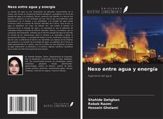 Capa do livro de Nexo entre agua y energía 