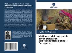 Methanproduktion durch einen tragbaren, selbstgebauten Biogas-Fermenter的封面