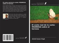 Capa do livro de El coste real de la casta: MGNREGA sobre el terreno 