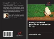Capa do livro de Rzeczywisty koszt kastowości: MGNREGA w terenie 