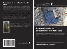 Capa do livro de Evaluación de la contaminación del suelo 
