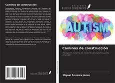 Capa do livro de Caminos de construcción 