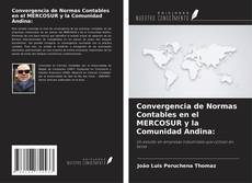 Capa do livro de Convergencia de Normas Contables en el MERCOSUR y la Comunidad Andina: 