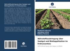 Capa do livro de Nährstoffausbringung über Saatgut und Blattapplikation im Erdnussanbau 