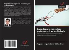 Buchcover von Łagodzenie zagrożeń pożarowych w szpitalach