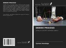 Copertina di DEBIDO PROCESO