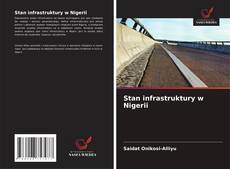 Stan infrastruktury w Nigerii kitap kapağı
