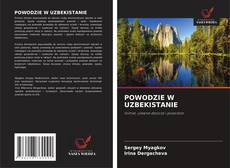 Copertina di POWODZIE W UZBEKISTANIE