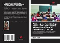 Copertina di Pedagogical relationships between the scholarship holder and the PIBID collaborating teacher