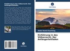 Einführung in das Völkerrecht: Der Anfängerleitfaden的封面