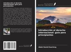 Buchcover von Introducción al derecho internacional: guía para principiantes