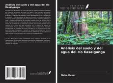 Buchcover von Análisis del suelo y del agua del río Kasalganga