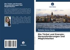 Bookcover of Die Türkei und Energie: Herausforderungen und Möglichkeiten