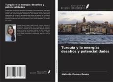 Buchcover von Turquía y la energía: desafíos y potencialidades