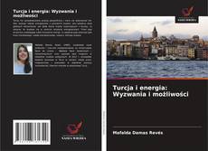 Couverture de Turcja i energia: Wyzwania i możliwości