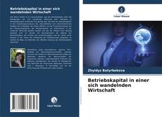 Bookcover of Betriebskapital in einer sich wandelnden Wirtschaft