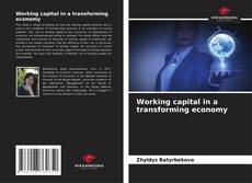 Borítókép a  Working capital in a transforming economy - hoz